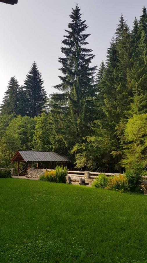 Cheremosh Jablunycja Exteriér fotografie